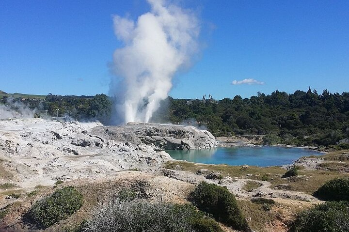 Pohutu Geyser, Rotorua